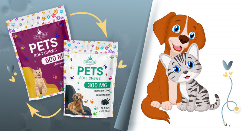 Blog-How-to-Introduce-CBD-Gummies-into-Your-Pets-Daily-Routine-1-2