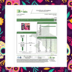 Cartridge2000MG-1gram.jpg